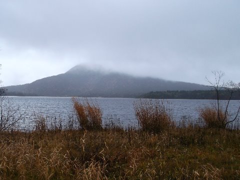 尾瀬沼から燧ヶ岳