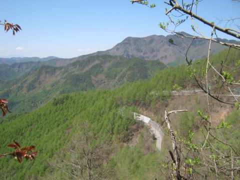 馬越峠の登り　カラマツの新緑が美しい