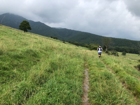 牧場の中を走る。爽快！