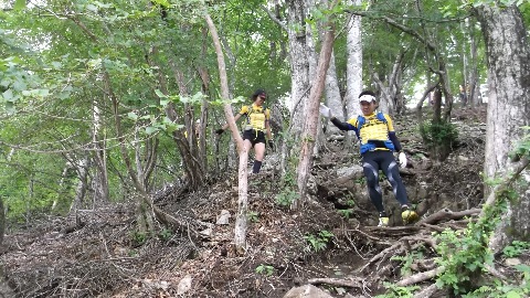 初参加の山室王子　最後までへたることなく軽快な足取り。