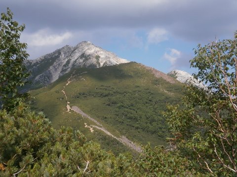 双子山からまた５日後に来るからね～