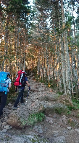 早朝4時40分オーレン小屋をスタート。夏沢峠に向う