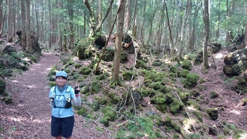 青木ヶ原樹海トレイル