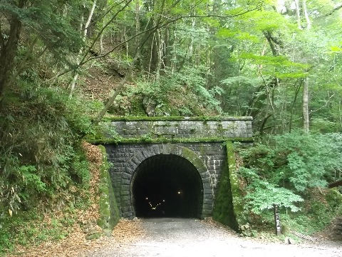 八丁の池を通り、一気に天城トンネルまで駆け下りる。ちょうど１６キロ地点。　これから再び標高差７００m　天城山を登り返す。