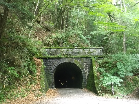 八丁の池を通り、一気に天城トンネルまで駆け下りる。ちょうど１６キロ地点。　これから再び標高差７００m　天城山を登り返す。