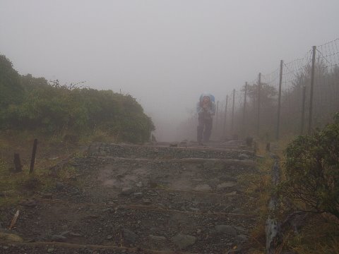 最悪の条件の中でも黙々と・・