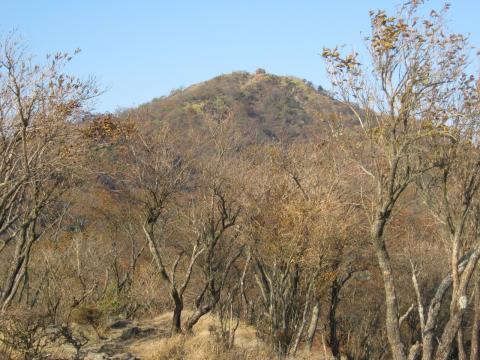 やっと山頂が見えてきた。