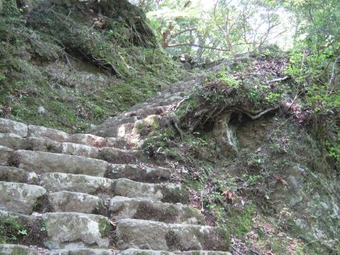 じっと我慢、ひたすら登る。