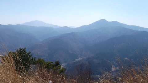 矢倉岳よりこれからたどる金時山