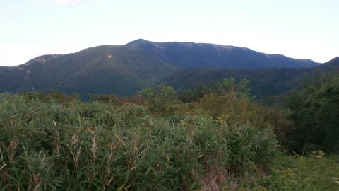 来し方を振り返る　明神ヶ岳　ここまで３０分