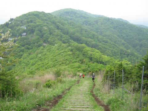 石割山からも頻繁なアップダウンが続く。