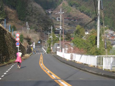 山里を走るYaSujoさん
終始安定したペースで
どんどん進む。とても追いつけず。