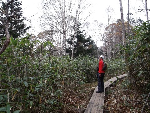 今回お世話になった座光寺さん　30年以上にわたり尾瀬の山麓でペンションを経営
尾瀬の自然に精通されていてガイドとしても今回大変お世話になった