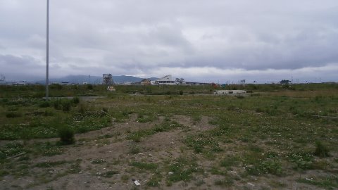 震災前は住宅や商店が建ち並んでいた区域だが今はがれきも殆ど運び去られ更地に、奥には解体中の市民病院も。この地区は危険地域として今後住宅等は建てられないという・・。