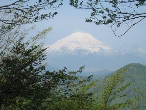 残雪の富士