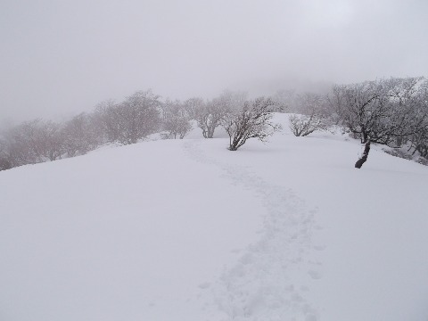 丹沢山から先は、全く別世界。行きにつけたこのトレース。復路ではほとんど消えていた。