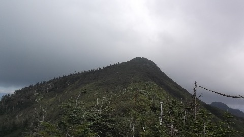 山頂が見えてきた