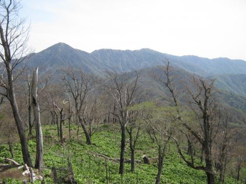 昨年縦走した蛭ヶ岳方面