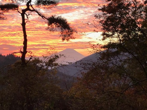 大山の登り返しから振り返ると夕映の富士が！