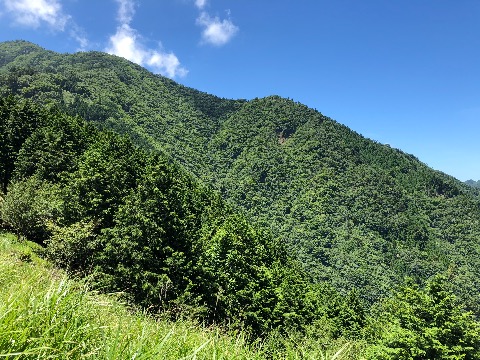 見晴し台から大山