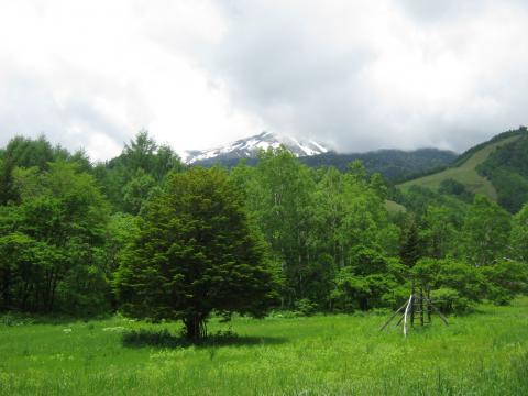 下山後、雲の切れ目から乗鞍が
あんなとこ登ったんだ・・
満足な走りは出来なかったが
一応、感無量