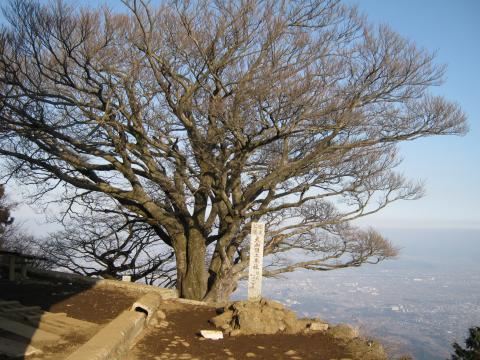 ヤビツ峠から３８分で標高１２５２ｍの大山山頂。時間が遅かったため人には会わず。
まだ至る所雪が残っていた。