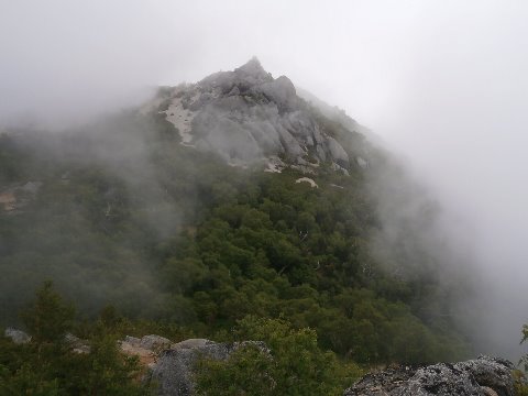 やっと稜線に出たが　薬師岳はガスの中