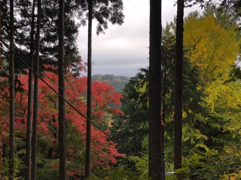 高山不動の紅葉