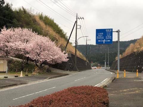 足柄峠に向かう途中の矢倉沢