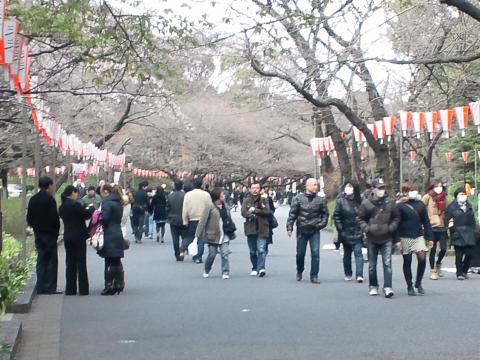 気の早い花見客がもう。。。写真には写ってませんが宴会組みがいっぱいましたよ～～　へべれけ組も～～
　あ～～人のふりみて我ふりなおせ～～　反省・・・・