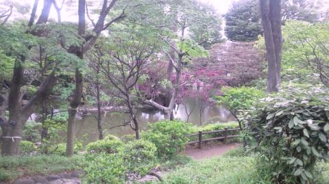 広尾の有栖川公園の中～～
　　空気よくすっきりしますよ～～