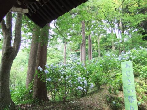 雨引観音