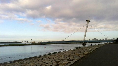 葛西臨海公園から、こちらも左の方に小さく東京ゲートブリッジが見える。