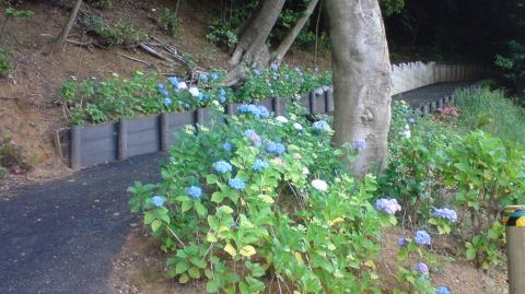 里見公園に通じる道