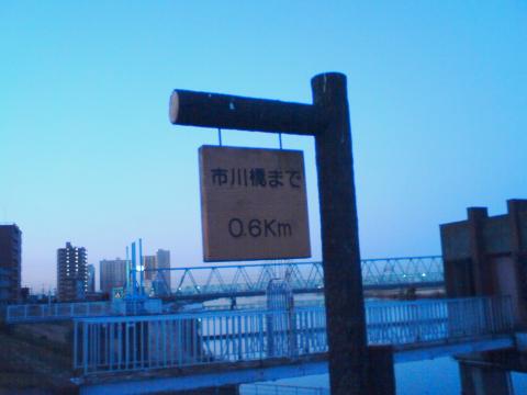 朝6時20分頃の江戸川