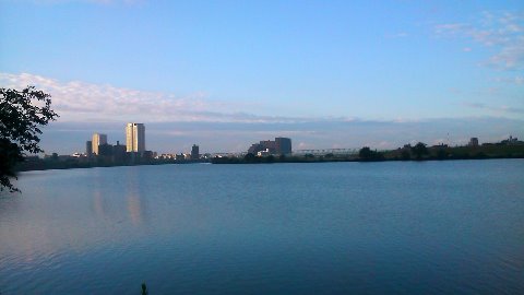 今朝の江戸川