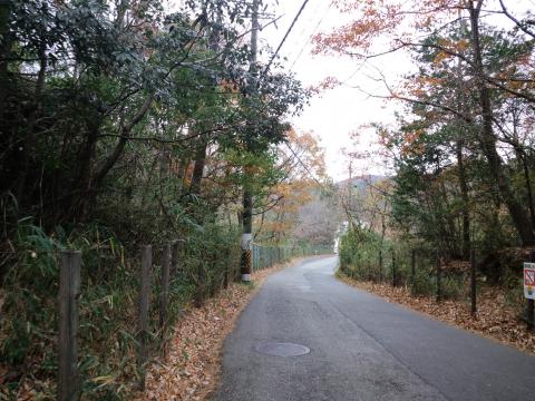 林道の様な府道１号