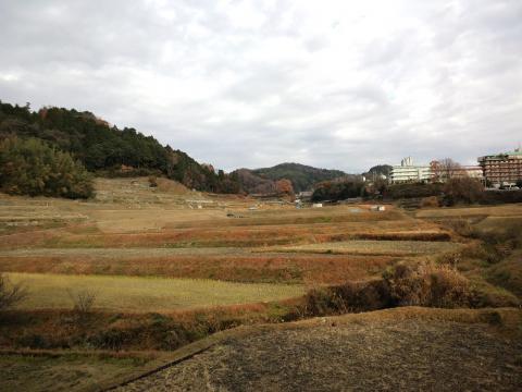 茨木市とは思えない