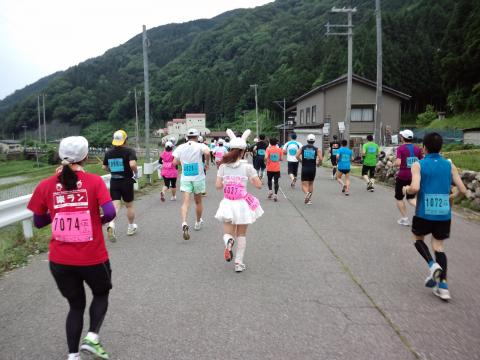 5kmあたり　「ありがとうさぎ」さん