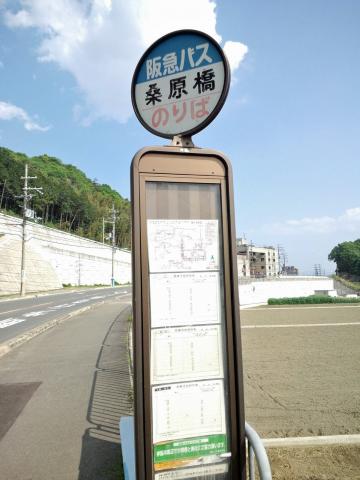 桑原（くわのはら）橋に着く頃は快晴