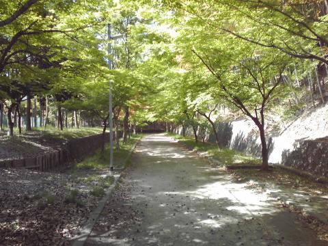 カーブの奥の公園