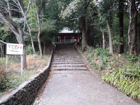 13:42 (15.6km) 花の寺到着