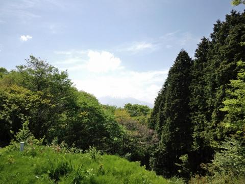 足柄峠から富士山を写すときも、液晶画面が見えず。いったいどこが写っているのか？