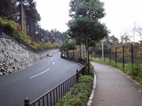 茨木CCへの道はこんな感じ、歩道はカラー舗装