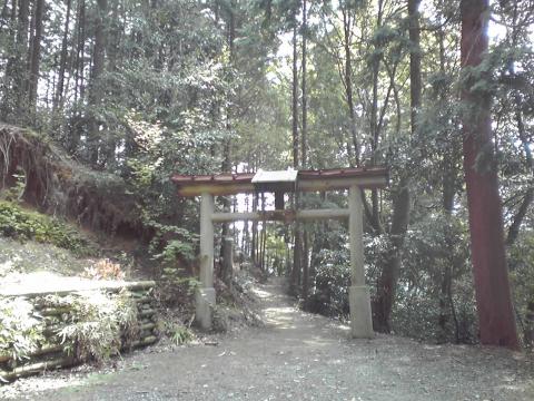 本山寺奥。鳥居の向こうに自然歩道の道標が立っている