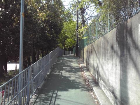 ８ｋｍ付近。小学校裏の細道。