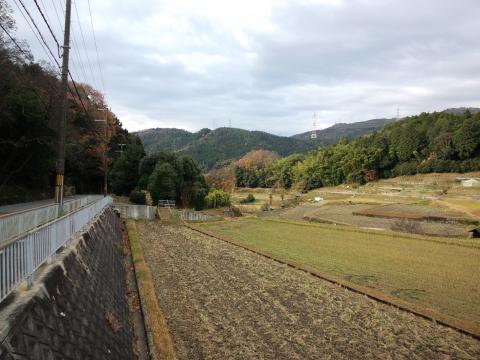 のどかな田んぼ風景