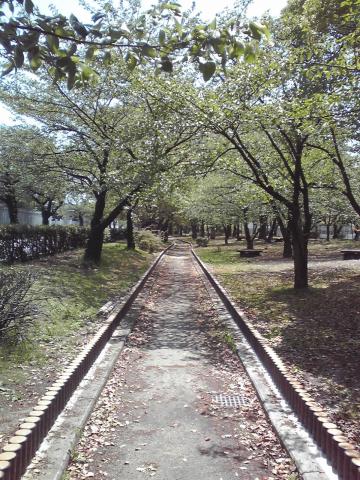 川端通り。公園のようになっている。