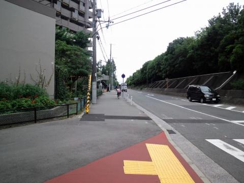 歩道のアスファルトは「特上」