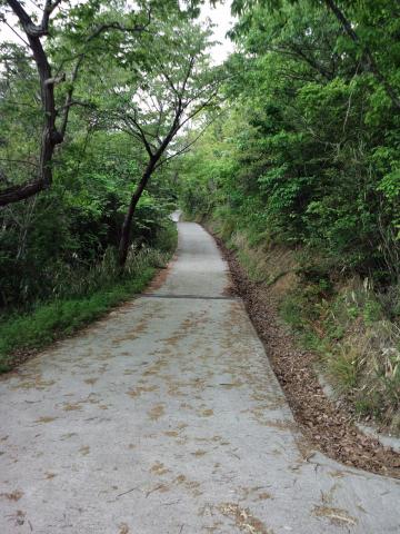 一部コンクリート舗装路もあり